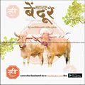 PSD design for Maharashtra Bendur celebrations