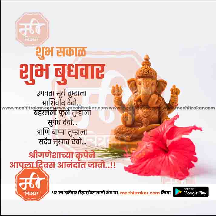 Daily Wishes Wednesday