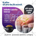 Finance & Banking