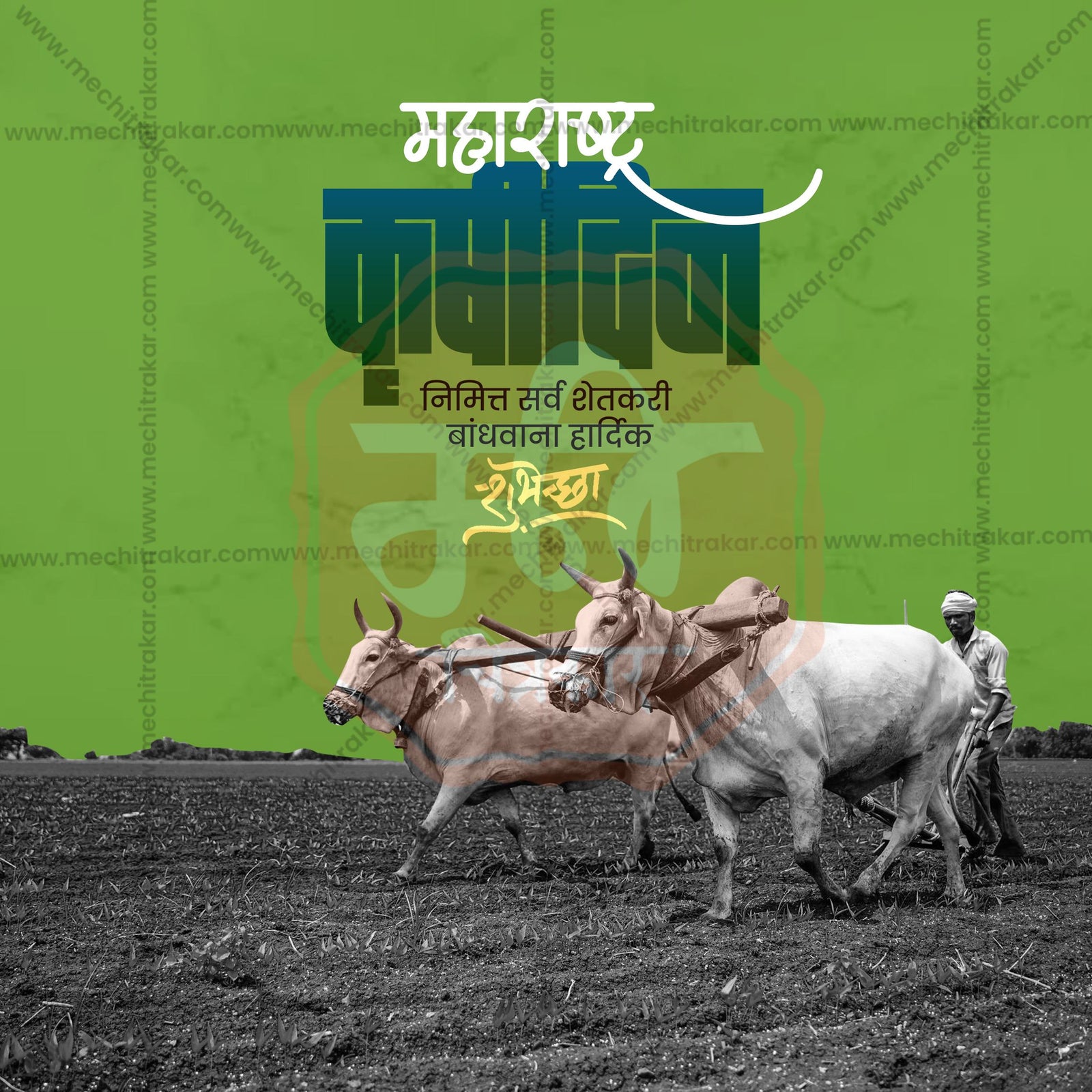 Maharashtra krushi Din