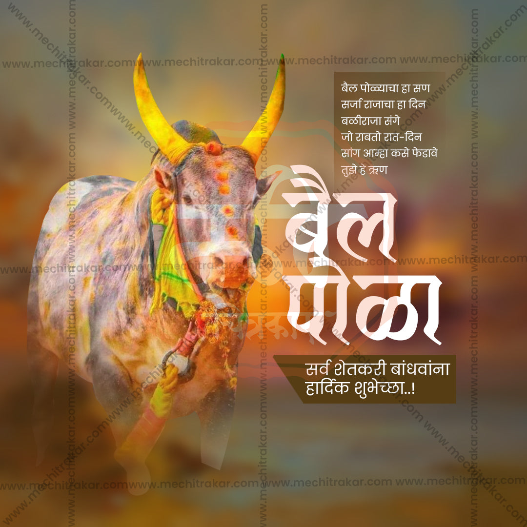 Bail Pola