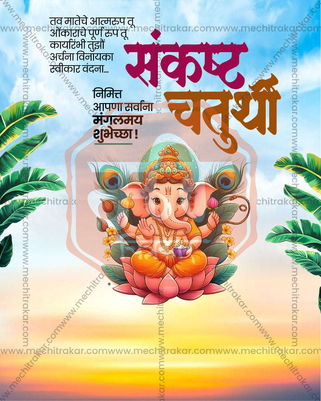Sunset Peacock Lotus Sankashti Chaturthi social media design featuring Vinayaka and Mangalmurti with peacock feather backdrop and lotus seat, editable PSD template for designers and agencies