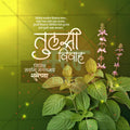 तुलसी विवाह