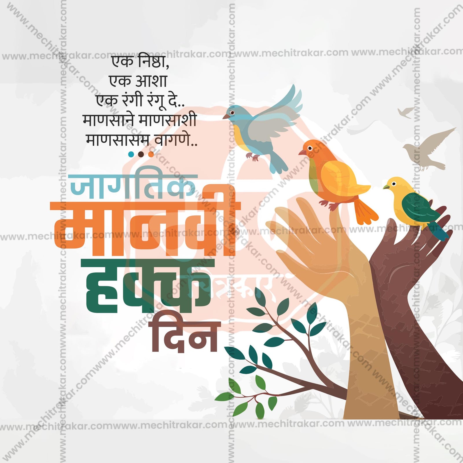 Human Rights Day