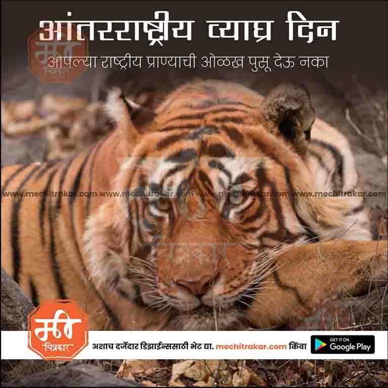 International Tiger Day PSD celebration design