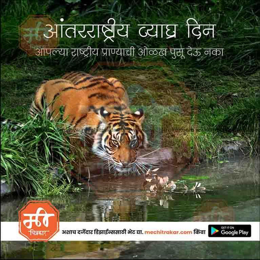 Editable PSD for International Tiger Day