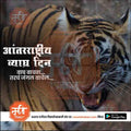 Editable International Tiger Day PSD file for social media